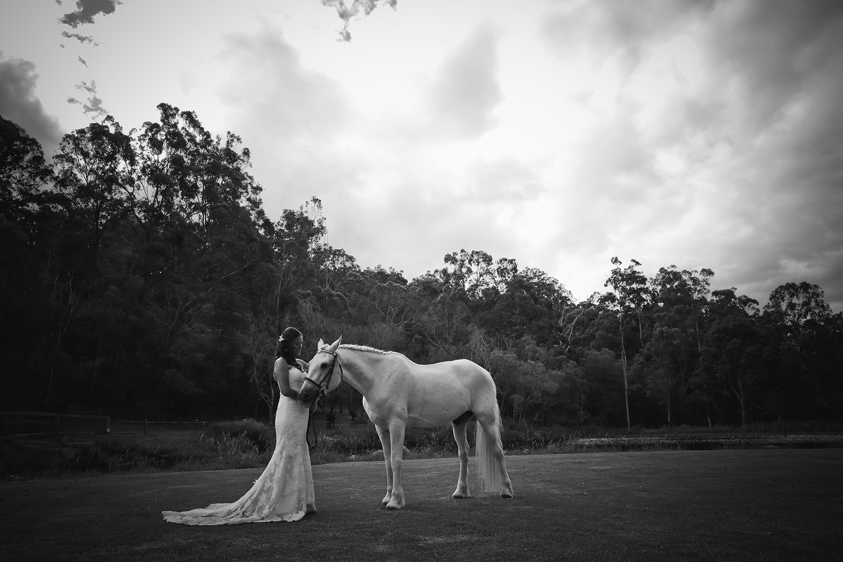 Cedar Creek Lodges Wedding Photographer