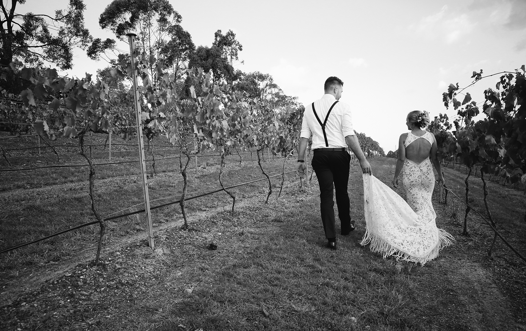 Sirromet Winery Wedding